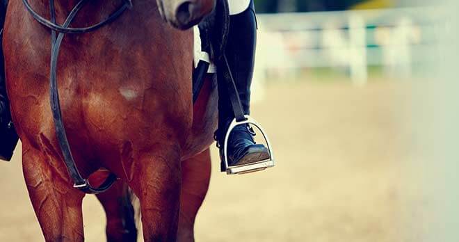 Horse Riding Accidents